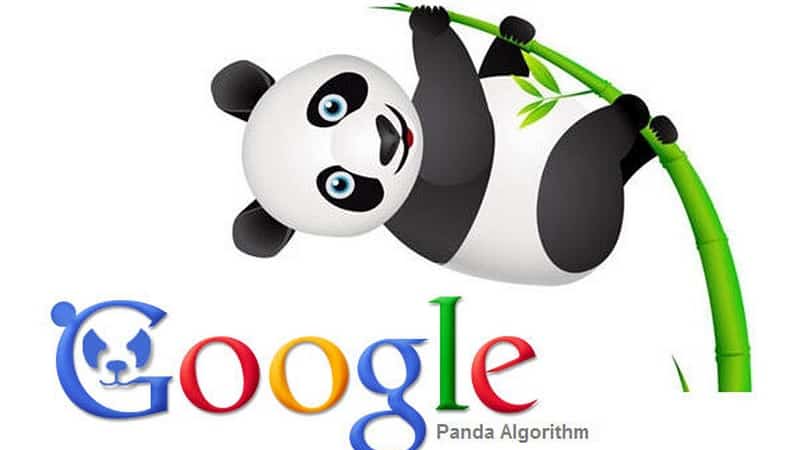 abc-digi-8-thuat-toan-loi-của-Google-panda