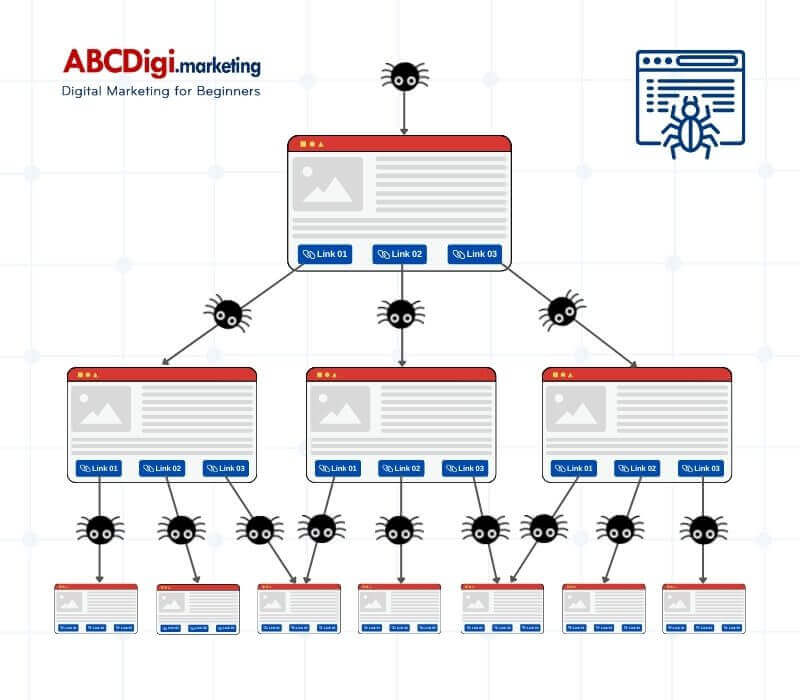 cách bot đi theo các link để tìm kiếm dữ liệu